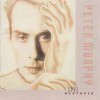 Peter Murphy（ピーター・マーフィー） / Love Hysteria